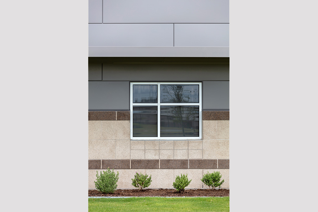 project image 4