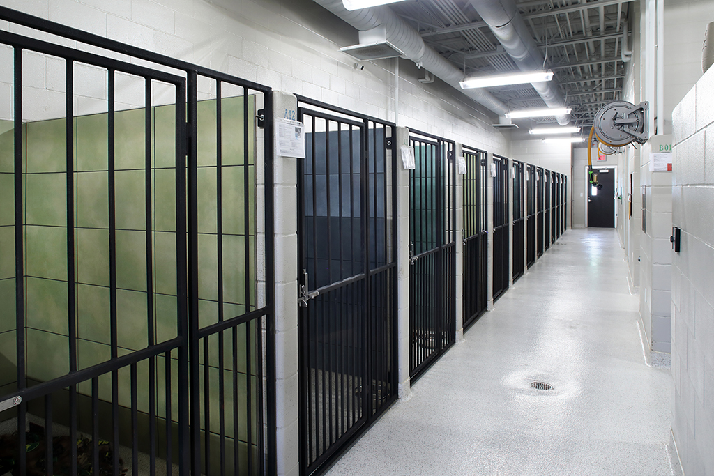 project image interior