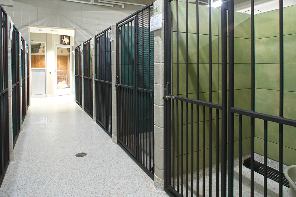 project image interior