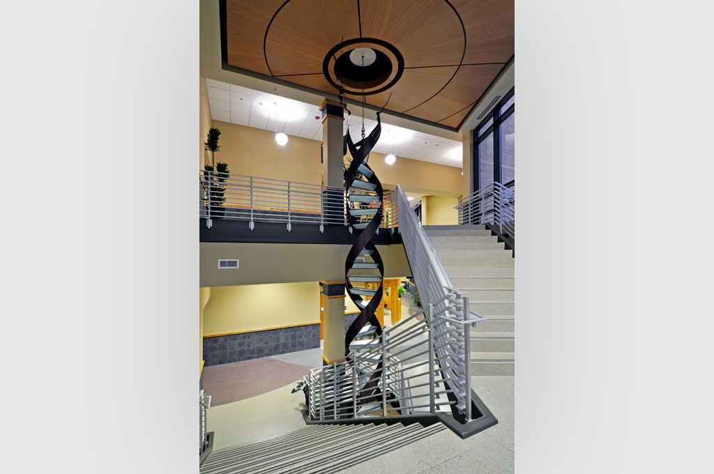 project image 11